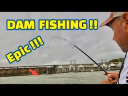 Fishing for “THE MOST BEAUTIFUL FISH” in the RIVER !!