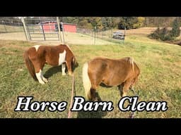 Horse Barn Winter Cleaning Routine & Vlog