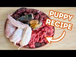 Simple Raw Food Recipe For Puppies