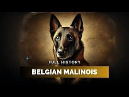 Belgian Malinois - Full History