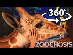 360° The BEST VR Petting Experience EVER with ZOOCHOSIS Animals!