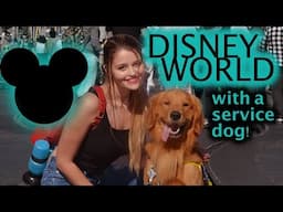 DISNEY WITH MY SERVICE DOG | Travel Vlog with a Service Dog