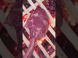 Can you cook a steak on a wooden grill? #steak #cooking #bbq