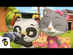 Dr. Panda the Photograph | Stories for Kids Kids | Learning Cartoon | Dr. Panda TotoTime