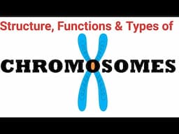 Chromosome - it's structure, types & functions