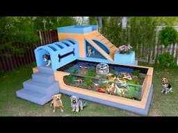 Share tips to build aquarium and dog house combo at home