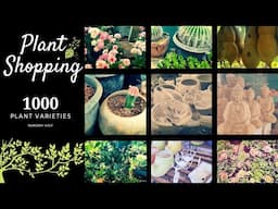 Plant Shopping | Plant Nursery Visit | Must Watch 1000 Plant Varieties