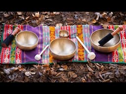 A Perfectly Tuned Metal Singing Bowl Set?