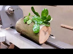 WoodTurning an Invasive Species !!