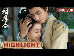 高光合集 | EP25-27【相思令 Everlasting Longing】