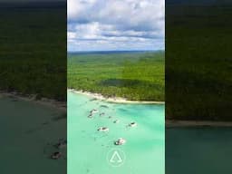 Isla Saona, Dominican Republic by Drone 4K Video Ultra HD HDR