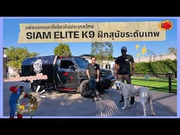 (FULL) Siam Elite K9 ฝึกสุนัขระดับเทพ ! | Pet Lover by Jerhigh Ep.5