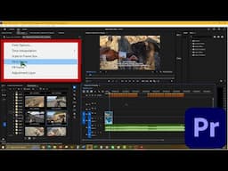 How To Use Fit To Frame In Adobe Premiere Pro 2025