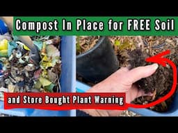 How to Fill Raised Bed Garden Container with FREE Soil & NOT Removing Plant from Pot for Blueberries