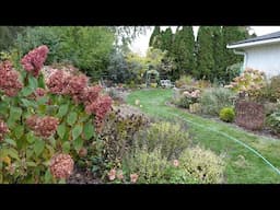 Mid-October Garden Tour After Frost, Minnesota Zone 5a