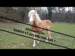 SÉPARATION ! AZZARO ET NABOO MALADES ? 😱