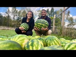 We Weren’t Expecting This Many Melons! *fall harvest and clean up* | Building a Homestead on Faith