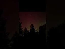 aurora in oregon #aurora #auroraborealis