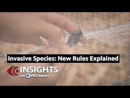 Invasive Species: New Rules Explained | INSIGHTS ON PBS HAWAIʻI