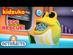 @Octonauts - 🐠 The Jawfish 🪸 | Full Episodes | Season 2 | @Kidzuko