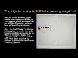 What might be causing the DNA ladder smearing in a gel run?