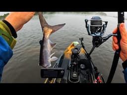 Monster Fish Hunting Desperation - Deploy the Big Bait! Scary Manatees!