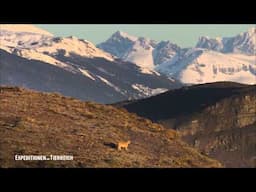 Tiere im Paradies: Expeditionen 2012