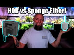 The Ultimate Fish Tank Filter Showdown! HOB Filter vs Sponge Filter