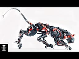 10 Amazing Robots That Really Exist