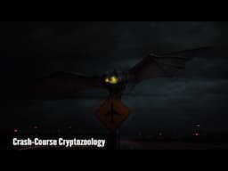 An Investigator Speaks On The O'Hare Mothman