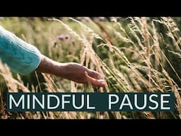 10-Minute Mindful Pause: Quiet Your Busy Mind