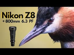 Nikon Z8 and 800mm 6.3 PF lens.....INCREDIBLE - Wildlife Bird Photography