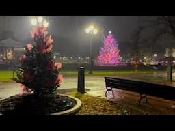 Beautiful Christmas Lights and "O Holy Night"