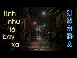 Tình Như Lá Bay Xa Remix - Quan Thục Di | 难得有情人 (DJ版) 关淑怡 | Nhạc Hoa Bất Hủ❤️ Remix 2024 | 抖音-Douyin