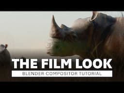 Film emulation in the viewport compositor | Blender tutorial