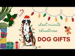 Last minute gifts for dogs