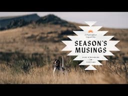 Scaled Quail Hunting with Pointing Dogs - New Mexico Bird Hunting - Season's Musings