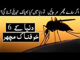 What If We Killed All Mosquitoes? | Interesting Facts | Urdu | Hindi | Janlo | Real channel