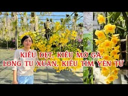 #hoalan kiều trắng, kiều vuông, long tu Xuân-0834608769- LAN RỪNG LÂM ĐỒNG