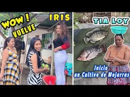 Así Cultiva Las TILAPIAS para VENDER Tia Loy En Su Terreno Wow IRIS Reaparece Después de Perder Su