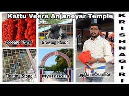 Kattu Veera Anjaneyar Temple - Krishnagiri |History,Special Pooja,Timings #Kattuveeraanjaneyartemple