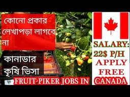 Canada Free Work Visa | Canada Work Visa | Canada Work Visa for Bangladeshi | Canada Labour Jobs