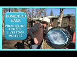 HOMESTEAD HACK - Preventing Frozen Livestock Water?