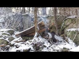 BUILDING all NATURAL Bark Roof BUSHCRAFT Survival SHELTER in Snowfall - Cooking on a Stone #Shorts