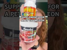 What supplements does a chameleon need?