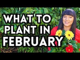 Over 70 Veggies To Plant In February For A Thriving Garden // Garden Planting Inspiration