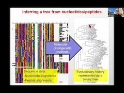 Lecture21 - Evolution - MLCB24