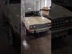 First Wash in 13 YEARS🚘💕 #BarnFind #AMCEagle #Satisfying #Detailing #ASMR #AbandonedCars #DetailDane