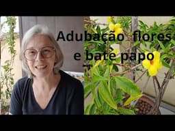 PORQUE VOLTEI A DORMIR + LOOK PARA DANÇAR + FLORES E ADUBO PARA FLORIR