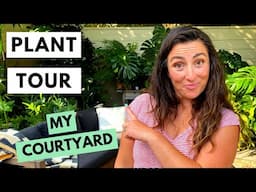 Plant Tour My Jungle Courtyard | Countless Tropical Plants!